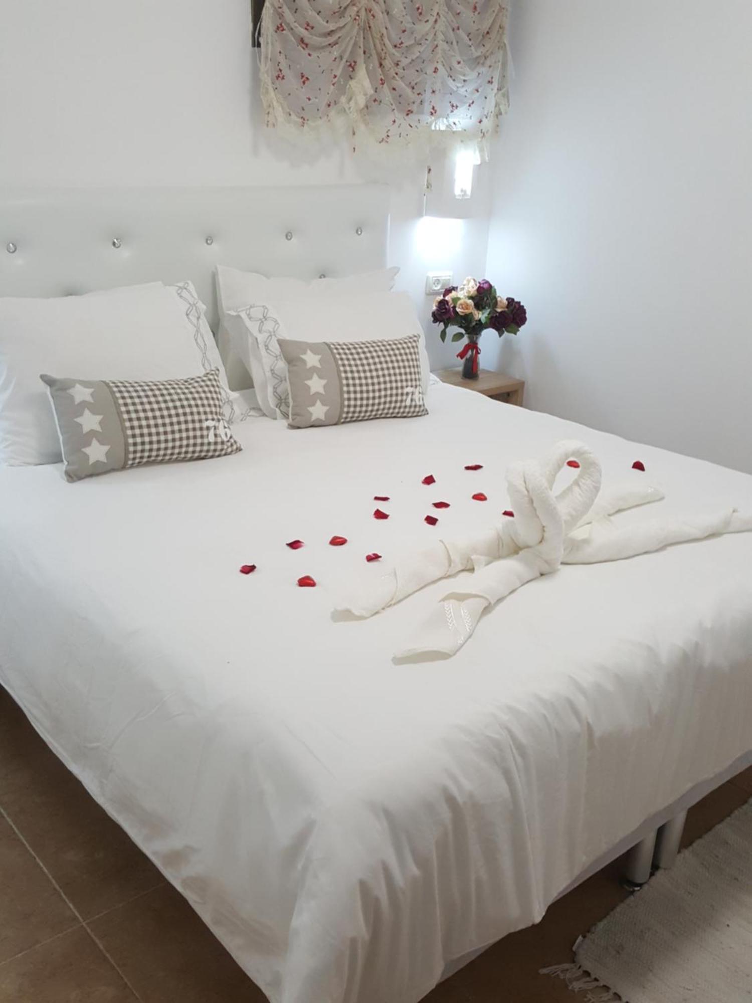 Zimmer Belev Hakikar- Dead Sea Neot HaKikar Ngoại thất bức ảnh