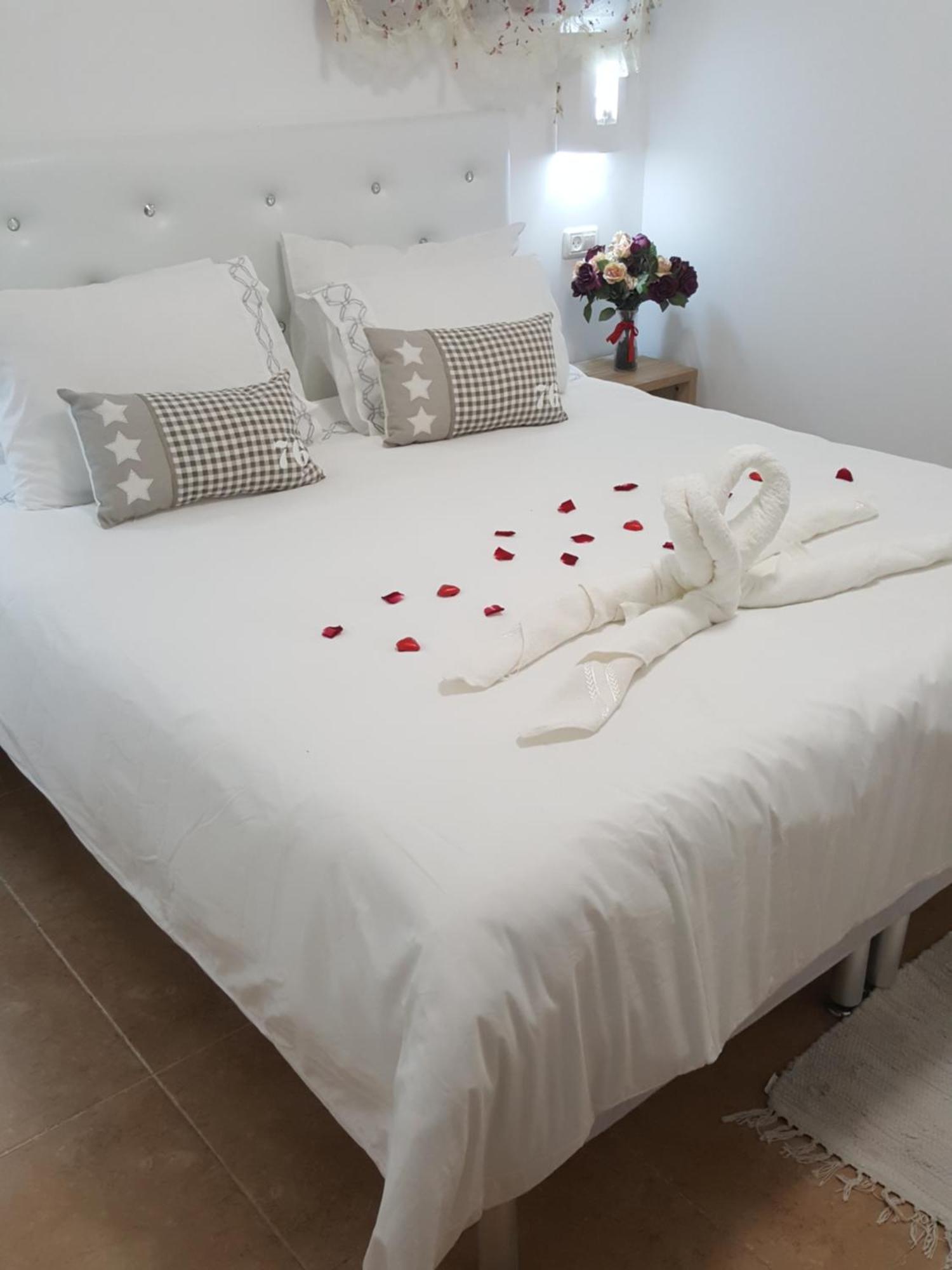 Zimmer Belev Hakikar- Dead Sea Neot HaKikar Ngoại thất bức ảnh