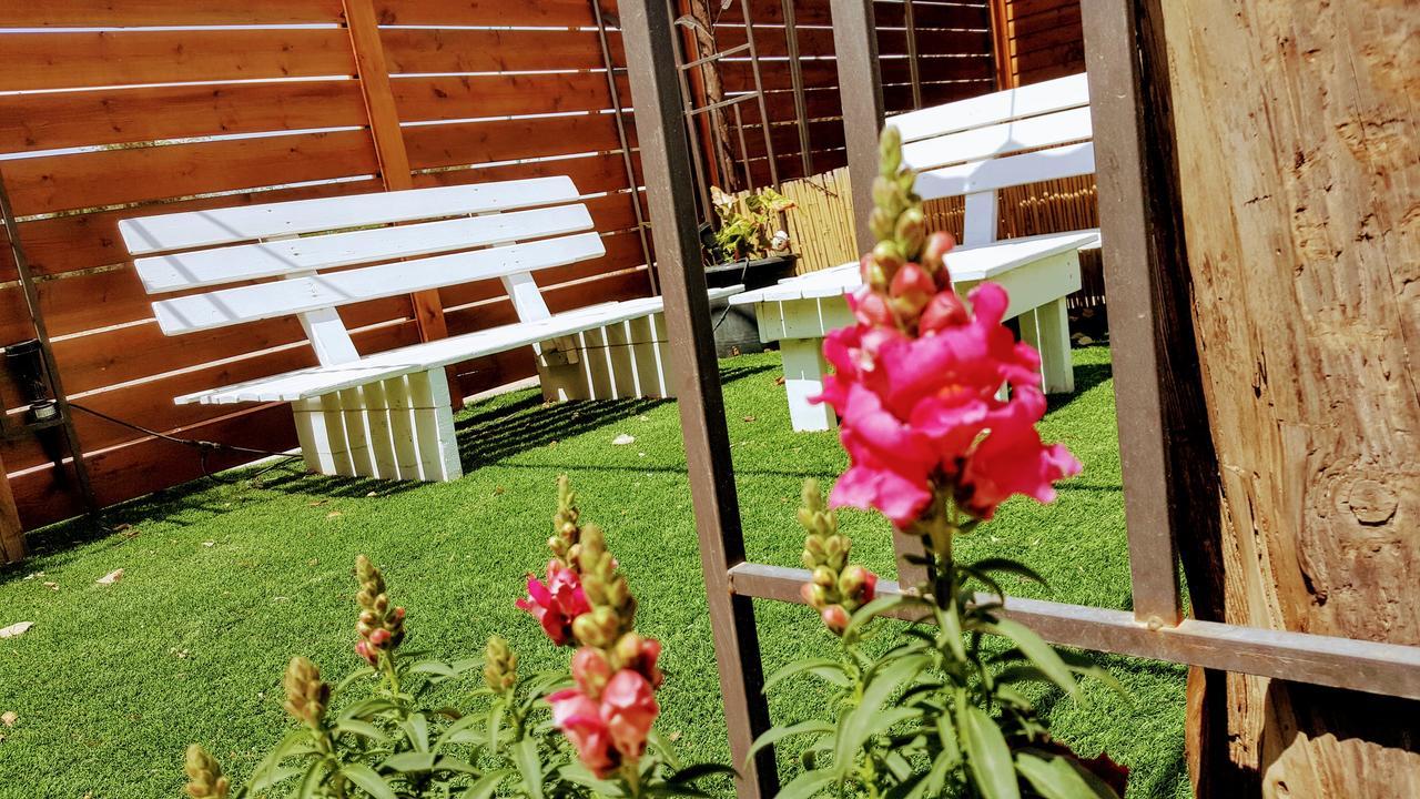 Zimmer Belev Hakikar- Dead Sea Neot HaKikar Ngoại thất bức ảnh